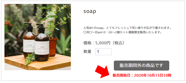 販売開始日