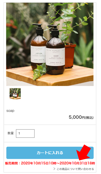 販売開始日と販売終了日